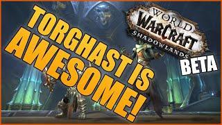 TORGHAST IS AWESOME!: Shadowlands Arms Warrior Torghast Intro (WoW 9.0 Beta)