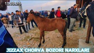 JIZZAX OSIYO MOL QO'Y BOZORI NARXLARI ЖИЗЗАХ ОСИО ЧОРВА МОЛ БОЗОРИ НАРХЛАРИ #жиззах #rek #ozod