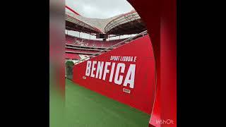 Estadio da luz Stadium Tour SL Benfica