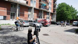 Three young boys stabbed to death in Montreal