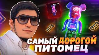 50000UC НА 3 ПИТОМЦА BEARBRICK НОВЫЙ КЕЙС В PUBG MOBILE! #pubgmobile#пубгмобайл#ibragaming #ibrapubg