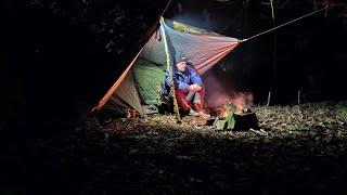 Wild Camping in a forest as a storm approaches - UK tent and tarp camping