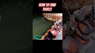 Use the 90/10 Rule To Find Fish!