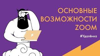 #Удалёнка: Обзор возможностей программы Zoom