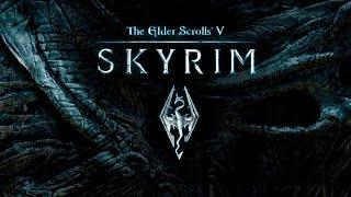 TES: SKYRIM. Tamriel Online. Играем в кооперативе.