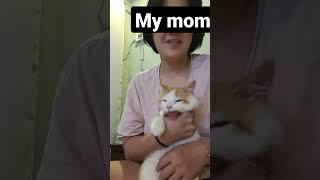 meet my mom and cat that you have seen a billion times