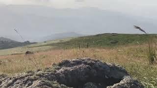 Jaral yayla Armenian highlands. Norshen. Ջարալ  յայլա Հայկական լեռնաշխարհը. Նորշեն.