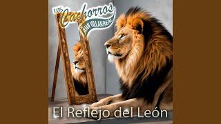 El Reflejo del León