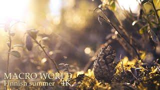 MACRO WORLD -  Finnish Summer 4K