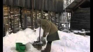 Юродивые Христа ради