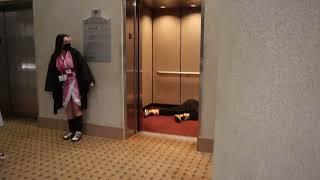 NEZUKO CHAN~ 20 (Mugen Elevator)