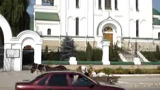 Tiraspol Hostel Tiraspol Tours Hostels Old Russian Orthodox Church Tiraspol Moldova Horse Cart