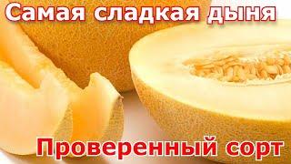 САМАЯ СЛАДКАЯ ДЫНЯ