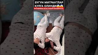 МИГРАНТЛАР ФАЛЬШИВЫЕ‼️ РЕГИСТРАЦИЯ ҚИЛДИРМАНГ #узбек #россия #депортация #москва #янгиликлар #rek