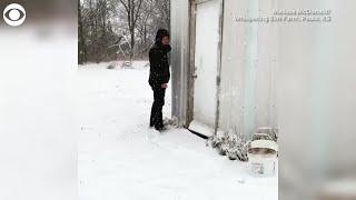 Ducks say 'no' to snow