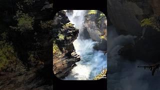 core #repost #funny #fyp #youtubeshorts #tiktok #viralvideo #famousshorts #subscribe