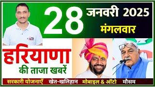 28 January 2025 Haryana News || हरियाणा की ताजा खबरें || Haryana Live News || CWB Hindi News