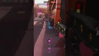 Ashe Bamboozle 