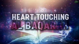 THE MOST HEART TOUCHING RECITATION OF SURAH BAQARAH