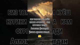 #гуласал 