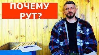 Вечный спор какой улей лучше/ пчеловодство в рутах