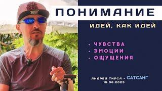 Подвох понимания идей - Андрей Тирса - Сатсанг 15.06.2023