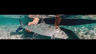 Bahamas Fishing Lodges: Bonefishing in The Bahamas -Best Bahamas Bonefishing Lodges 1-(242)-395-8495