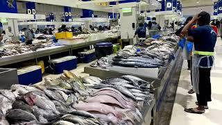 Biggest Fish Market in Dubai || Import /Export Business of Seafood