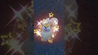 Shiny Growlithe (Day 196/366)#pokemon #gaming #subscribe #shorts #sub #pokemongo #shiny #poketuber