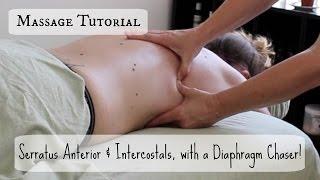 Massage Tutorial: Serratus and Intercostals with a Diaphragm Chaser!