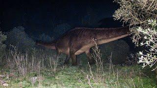 Dinosaur Caught on Trail Camera | VHS Analog Horror | The Sighting of Mokele Mbembe