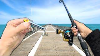 INSANE Pier Fishing!! Eating Whatever I Catch (Catch and Cook)