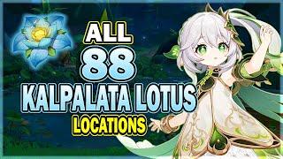 All 88 Kalpalata Lotus Locations - Efficient Farming Route | Nahida Ascension Material | Genshin