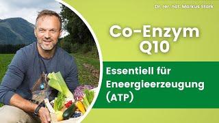  Mehr Energie mit Coenzym Q10 - Essenziell für Energieerzeugung (ATP)  Dr. rer. nat. Markus Stark