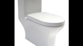 WaterSense Eco Friendly Toilet - EAGO TB353