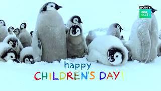 Celebrating children's day with our little ones | Sony BBC Earth