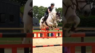 Harlow and Panda #horse #equestrian #harlowandfamily