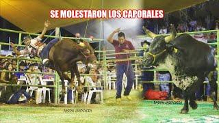 Los caporales se molestaron porque el jinete no se dejó caer y terminó colgado | Jaripeo Completo