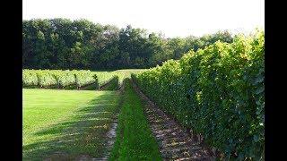 Weekend in Wine Country with Vintage Hotels