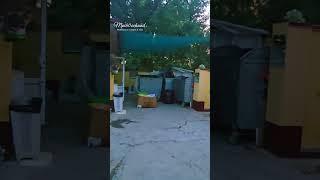 Вот такие мусорки в Ташкенте  #shorts