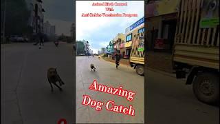 Dog Catching Vlogs Davangere City #dog #streetdogplanet44 #ytshorts #shortsfeed #pets