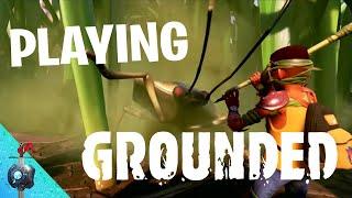 Let's Play Grounded :)