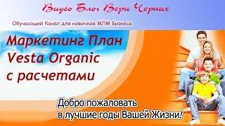 Маркетинг План Веста Органик Vesta Organic с расчетами