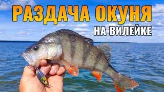 Ловля окуня летом с лодки! || Рыбалка на Вилейском водохранилище