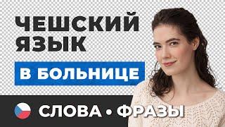  Чешские слова и фразы • Неотложная помощь. На приеме у доктора. В аптеке • Чешский язык с нуля #8