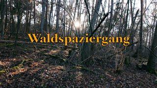 Waldspaziergang