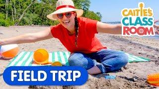 Let's Go To The Beach | Caitie's Classroom Field Trip | Outdoor Fun Videos for Kids