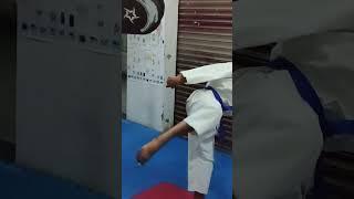 #kick #hardlevel #karatekid #karateshotokan #fighter #kicks