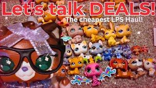 I'm in over my head...  || HUGE LPS Haul on a BUDGET !!!