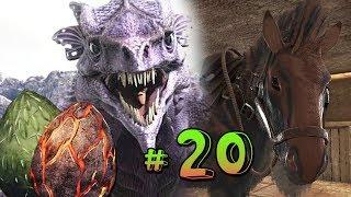 ARK Survival Evolved на карте Ragnarok - Испытание Виверны. Любимый Конь - (20)